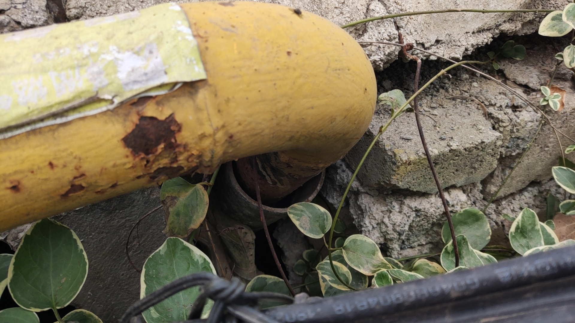 wx_camera_1765084992798